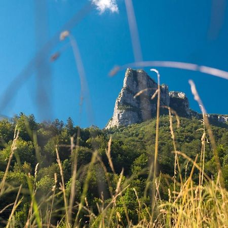 Vila Rozi, Osilnica - Vacation House Pr' Vili Rozi Eksteriør bilde