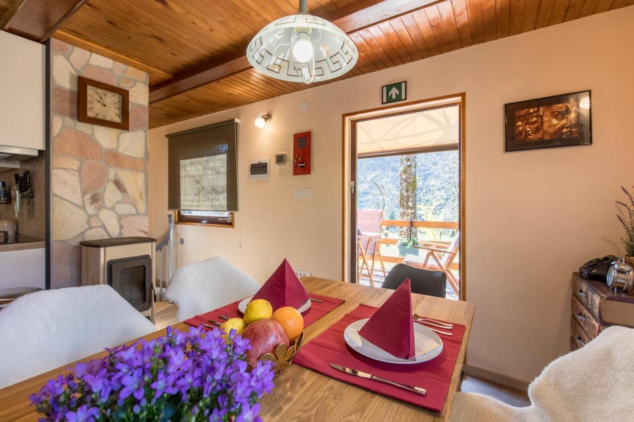 Vila Rozi, Osilnica - Vacation House Pr' Vili Rozi Eksteriør bilde