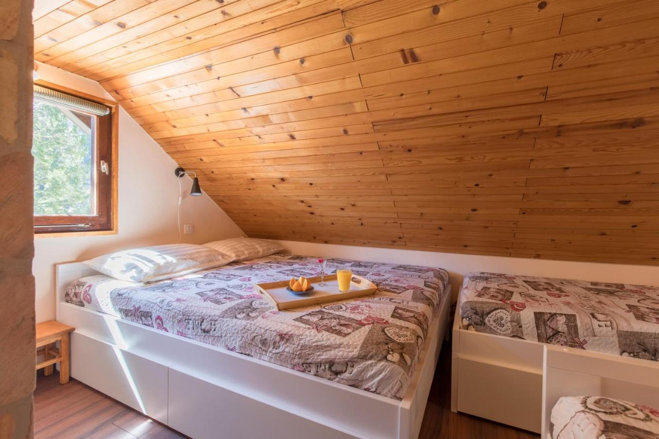 Vila Rozi, Osilnica - Vacation House Pr' Vili Rozi Eksteriør bilde