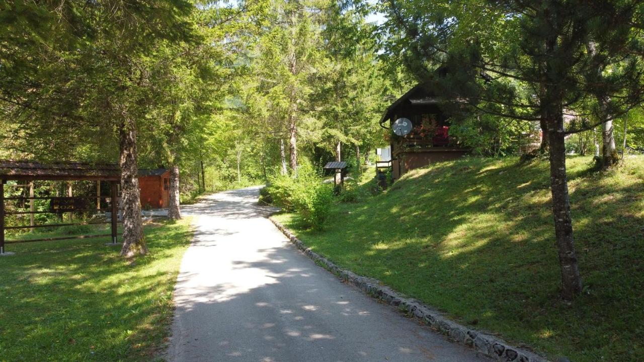 Vila Rozi, Osilnica - Vacation House Pr' Vili Rozi Eksteriør bilde