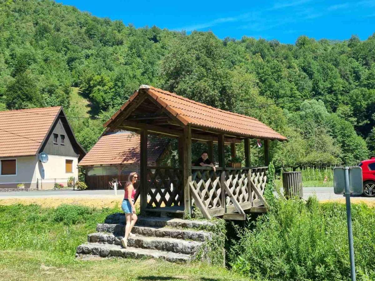 Vila Rozi, Osilnica - Vacation House Pr' Vili Rozi Eksteriør bilde