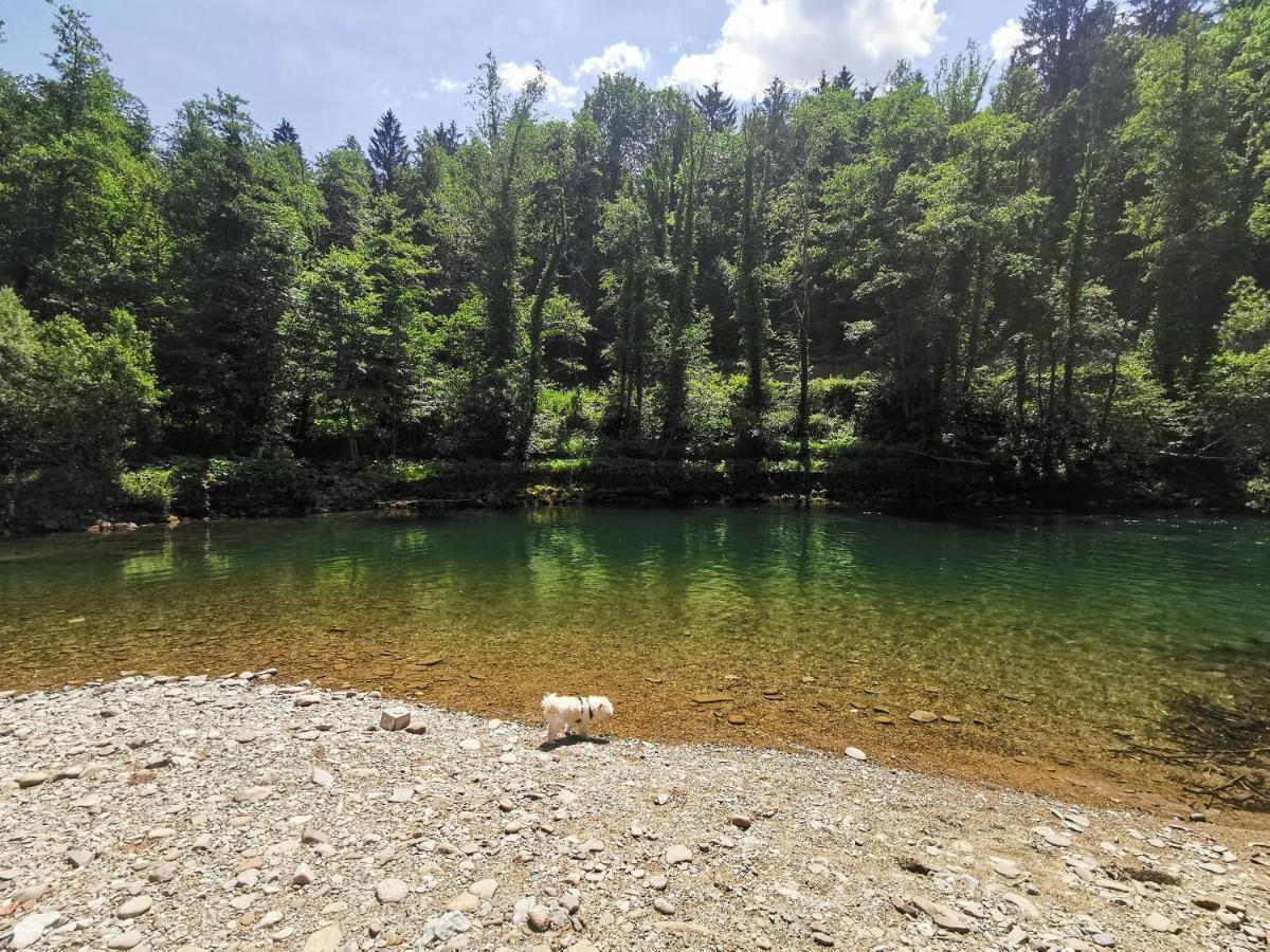 Vila Rozi, Osilnica - Vacation House Pr' Vili Rozi Eksteriør bilde